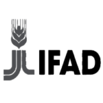 IFAD Internship Programme in ITaly 2026 - Details