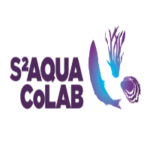 S2AQUA Research Scholarship in Portugal - Details
