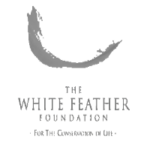 Cynthia Lennon Scholarship for Girls 2026 | Educational Support for Girls Worldwide