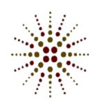 Al Qasimi Foundation Internship